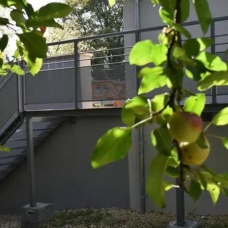 Le Du Bois De Loo Apartment