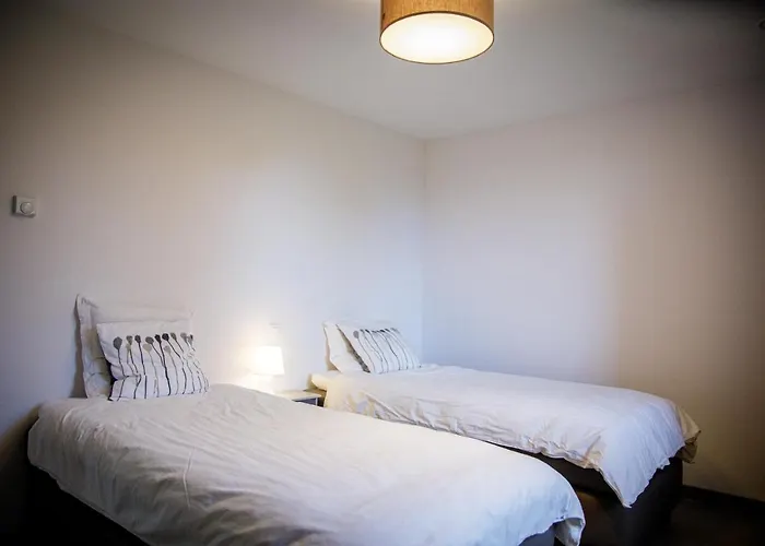 Le Du Bois De Loo 公寓 Attert